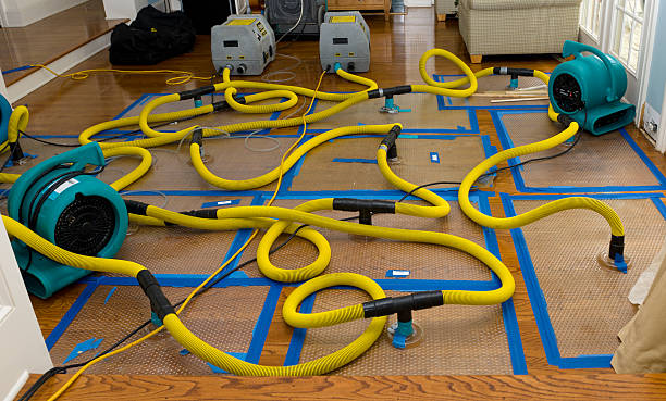 Professional Crawl Space Water Removal technician working in Cornish, NH